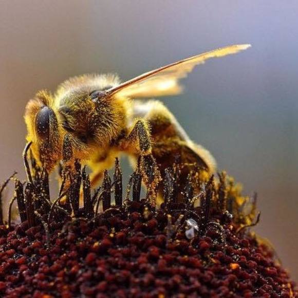 Meet your Posher, Kyle - Picture 1 of 1